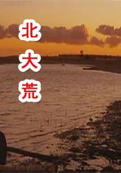 老师脱了裙子坐了上去电影